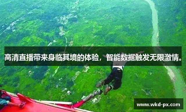 韦德电竞